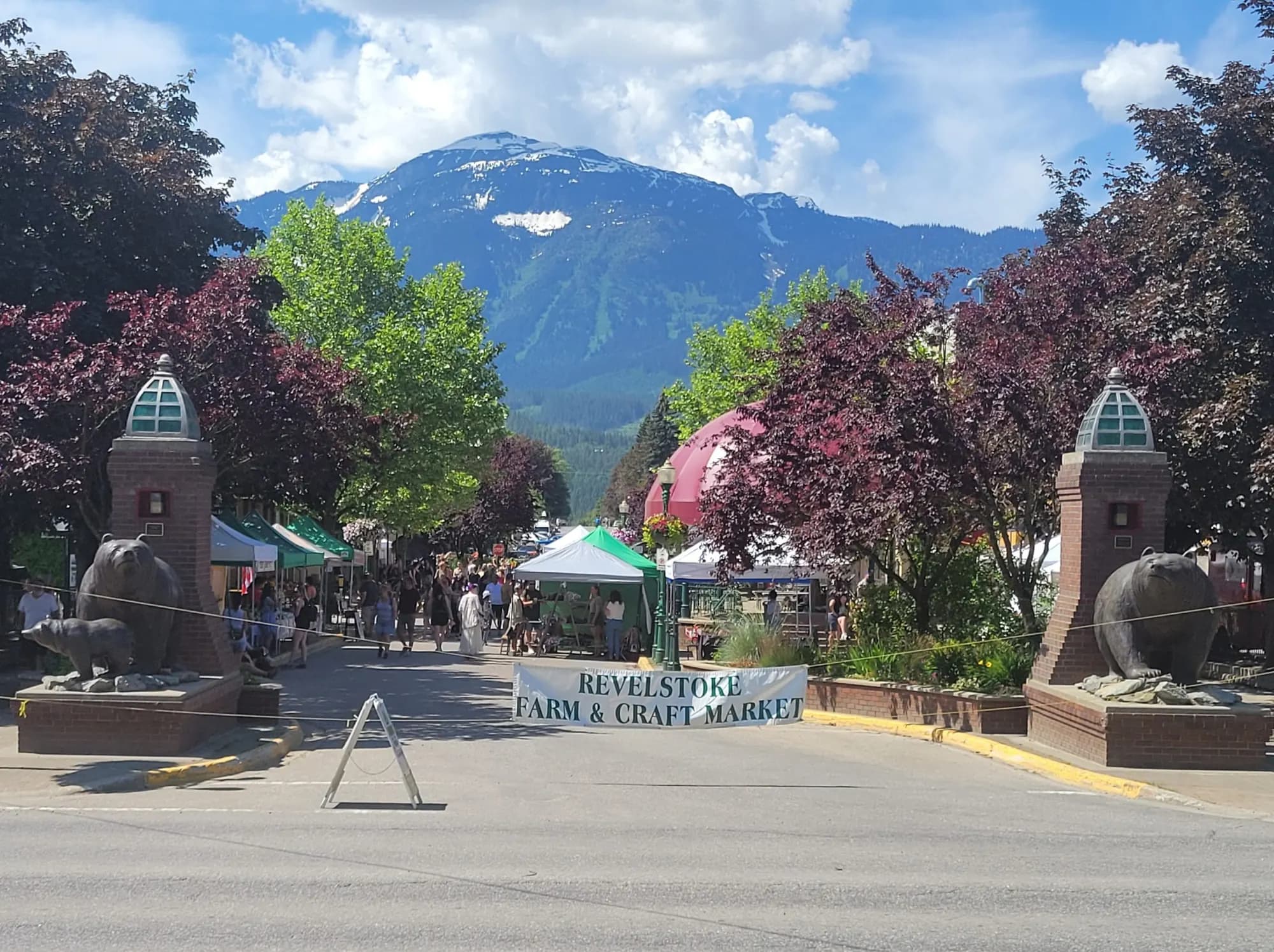 Shoppers and vendors at the Revelstoke Farm & Craft Market in Grizzly Plaza