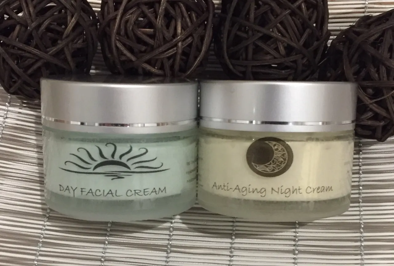 Day and night skincare duo
